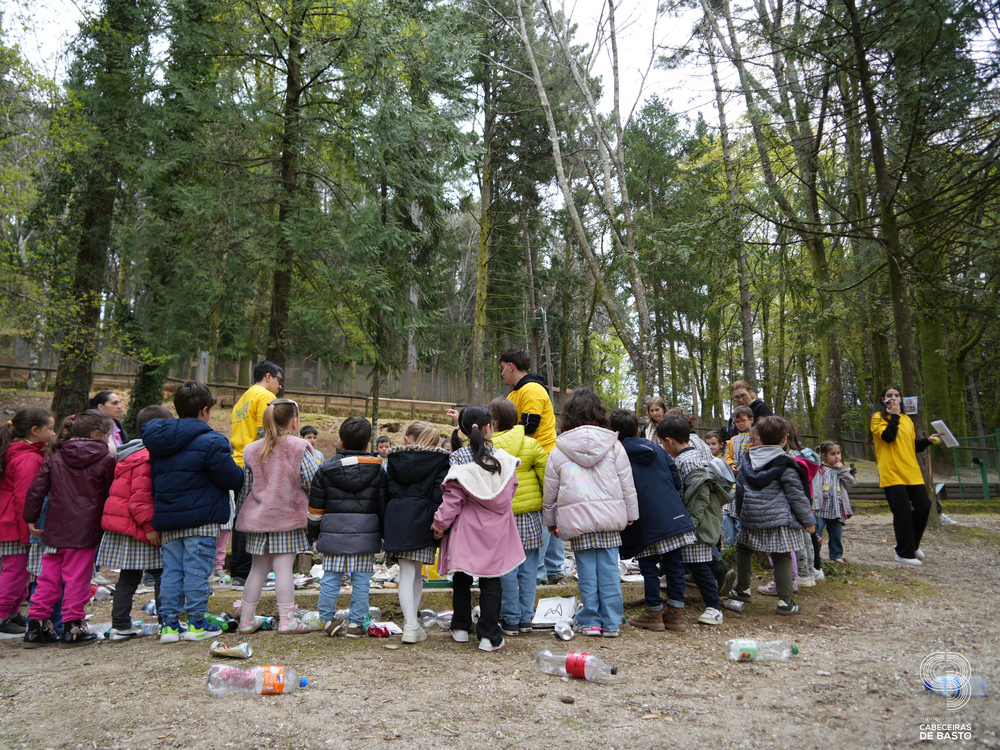 Dia Mundial da Árvore