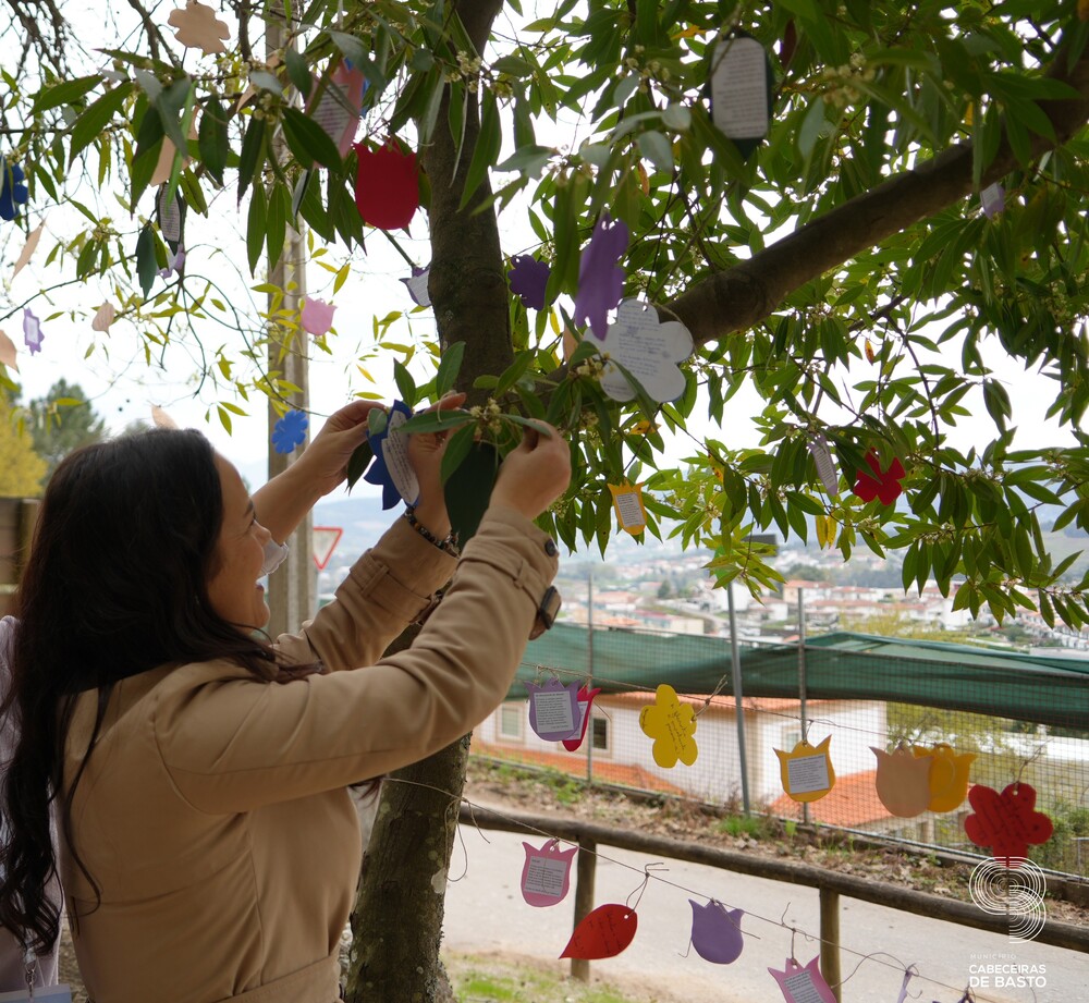 Dia Mundial da Árvore