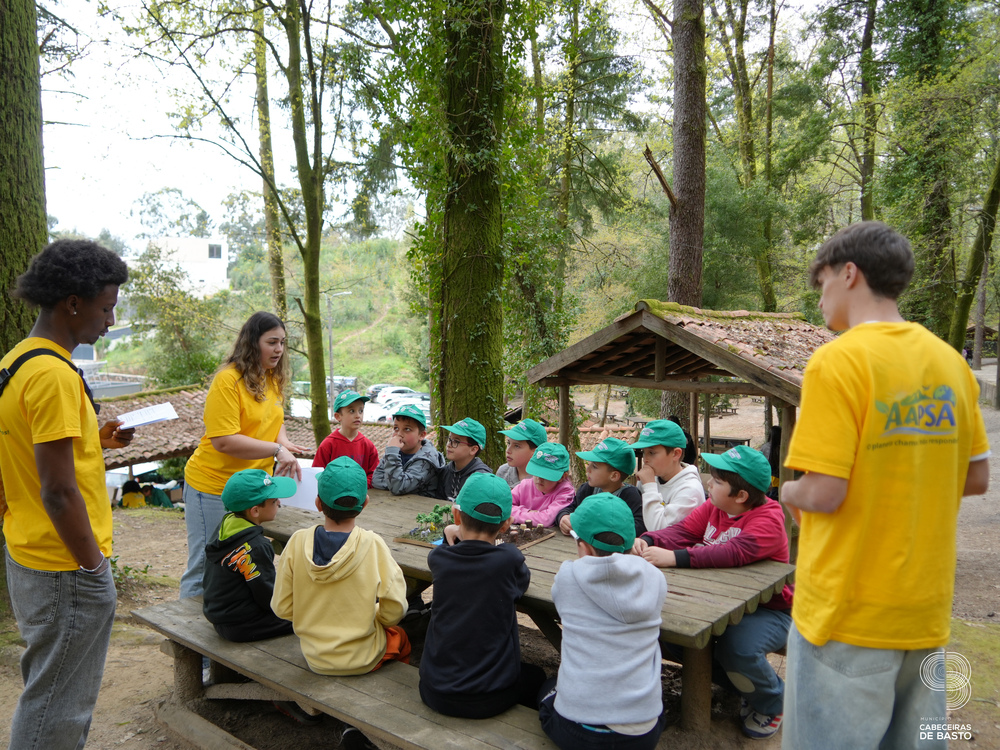 Dia Mundial da Árvore