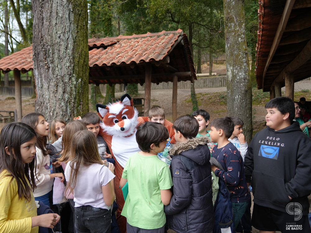 Dia Mundial da Árvore