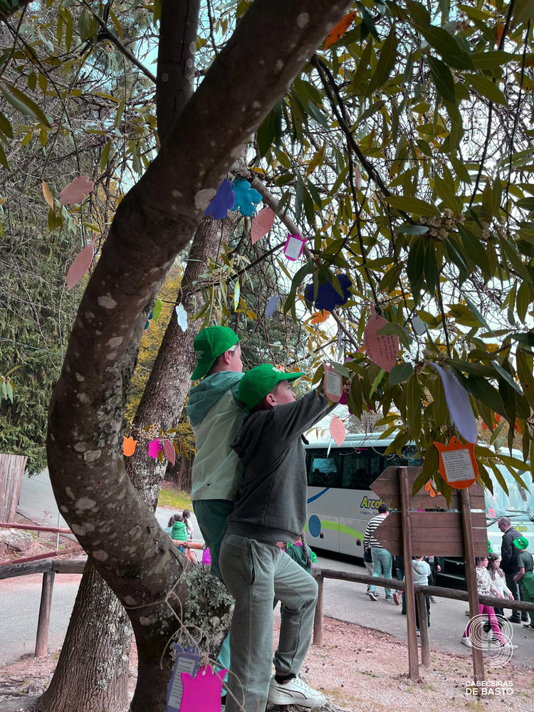 Dia Mundial da Árvore