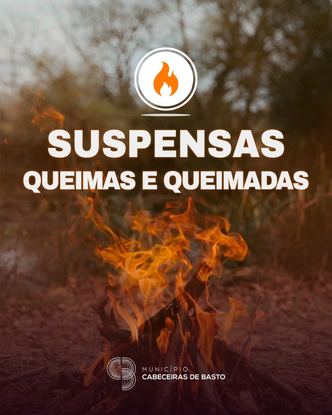 Leia mais sobre Suspensão de Queimas e Queimadas no concelho