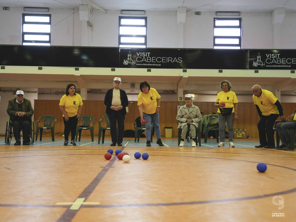 Dia da Atividade Física junta 300 seniores