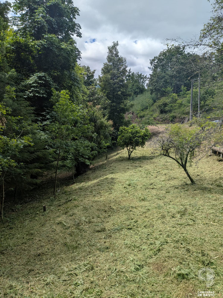 Limpeza de espaços públicos