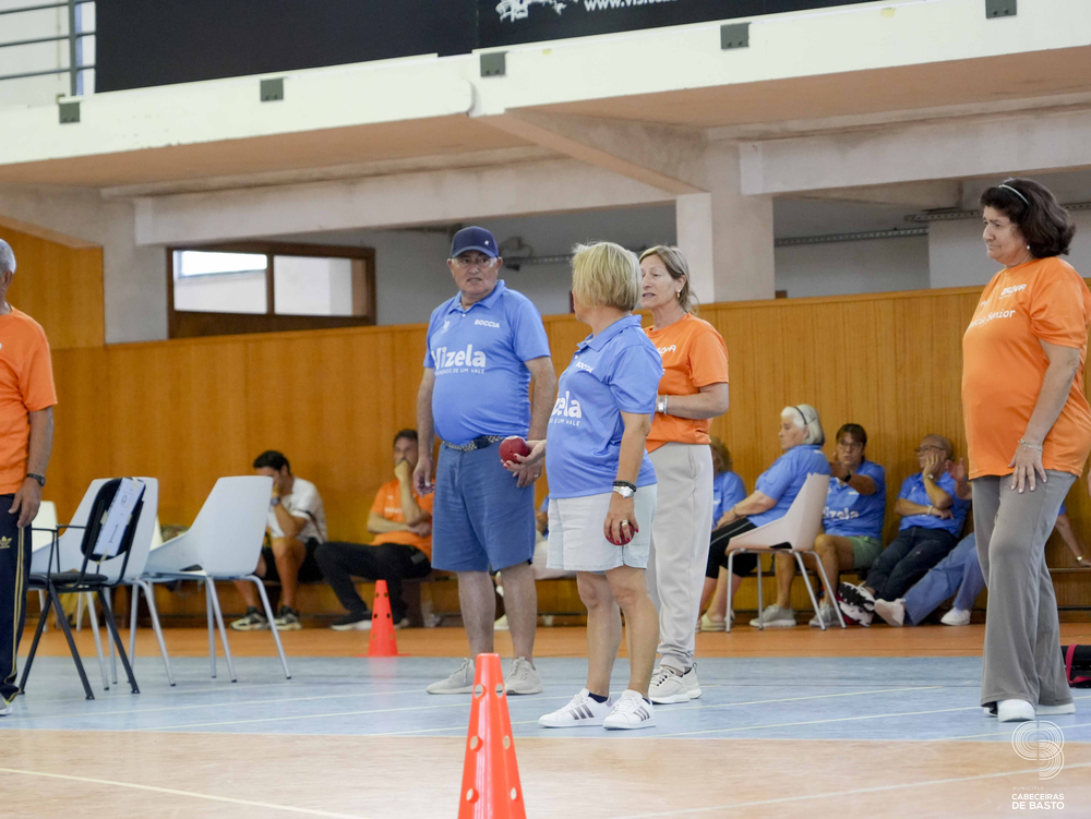 Liga de Boccia Sénior Distrital Braga - INATEL