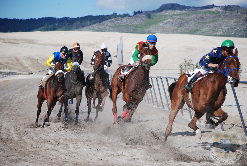 corridas de cavalos no hip¢dromo municipa‡ (4).jpg