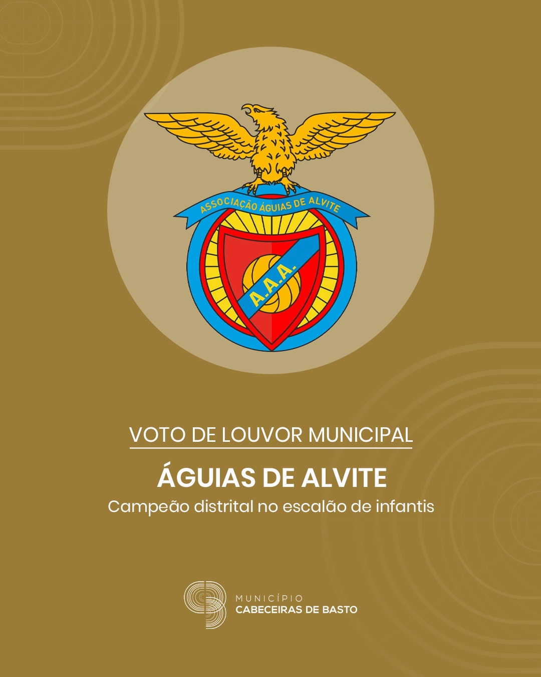 Leia mais sobre Câmara Municipal aprova Voto de Louvor ao Águias de Alvite