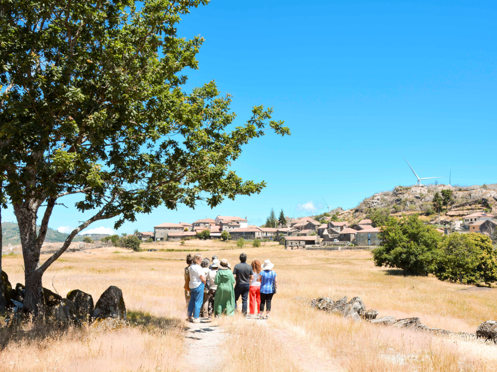 «Memórias do Território - Pastores, Rebanhos e Lã» destacou identidade e património local