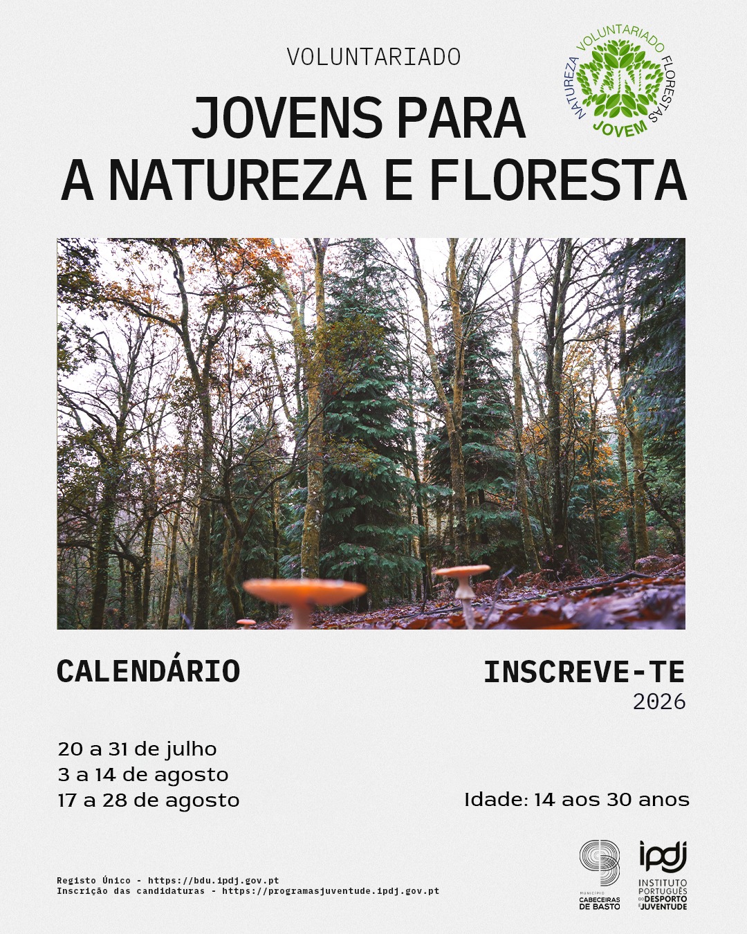 Leia mais sobre Candidaturas ao Programa «Voluntariado Jovem para a Natureza e Florestas»