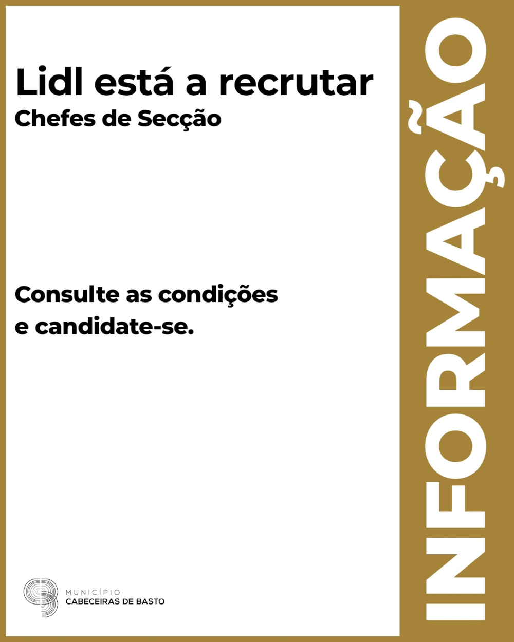 Leia mais sobre Lidl encontra-se a recrutar Chefes de Secção para a nova loja de Cabeceiras de Basto