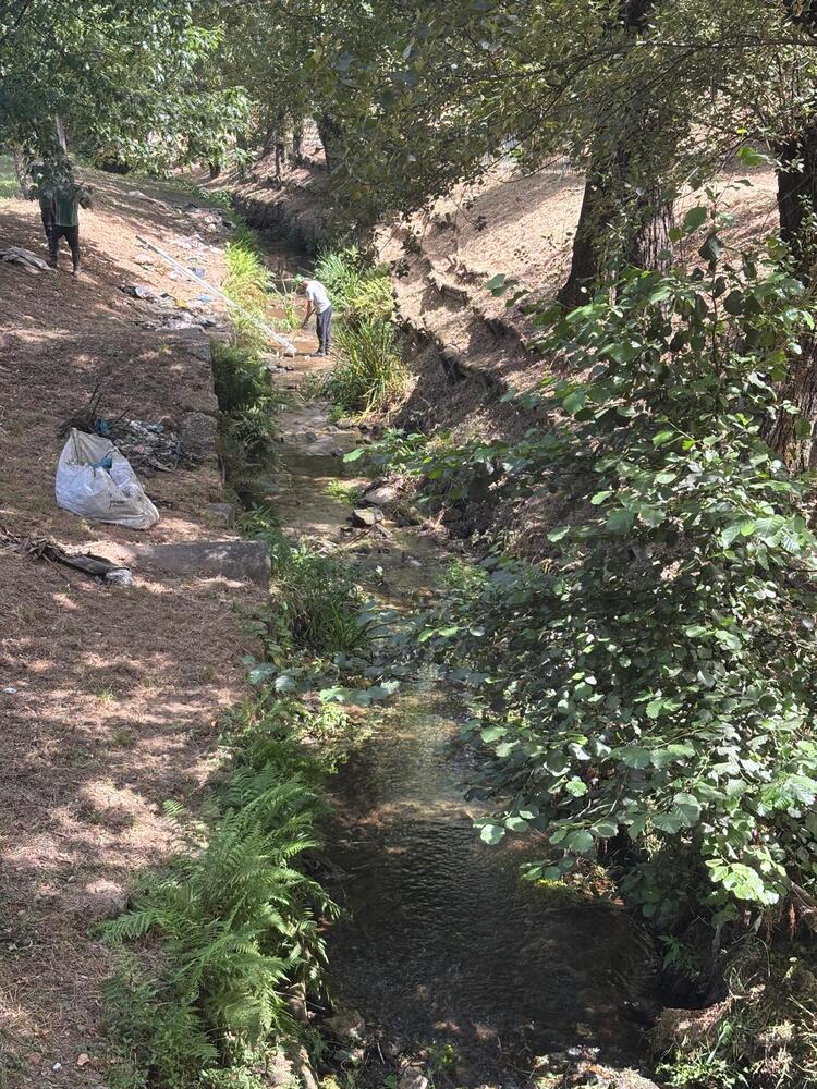 Leia mais sobre Ação de limpeza na ribeira de Penoutas