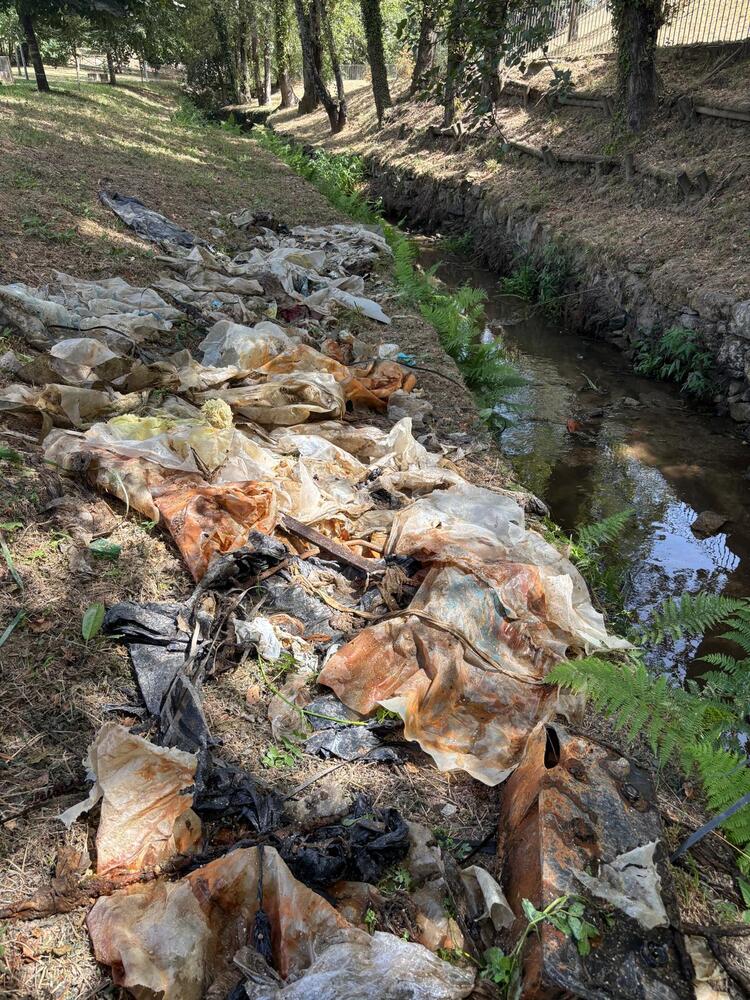 Brigadas Municipais desenvolvem ação de limpeza na ribeira de Penoutas