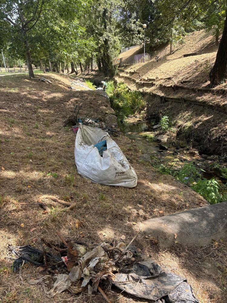Brigadas Municipais desenvolvem ação de limpeza na ribeira de Penoutas