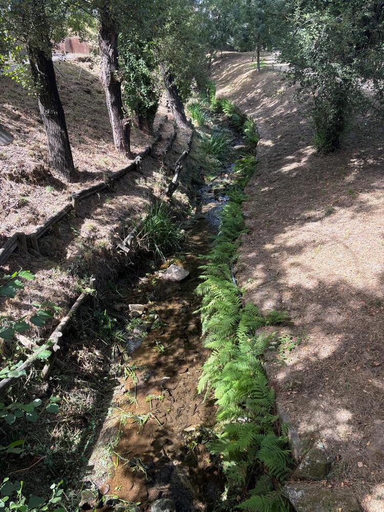 Brigadas Municipais desenvolvem ação de limpeza na ribeira de Penoutas