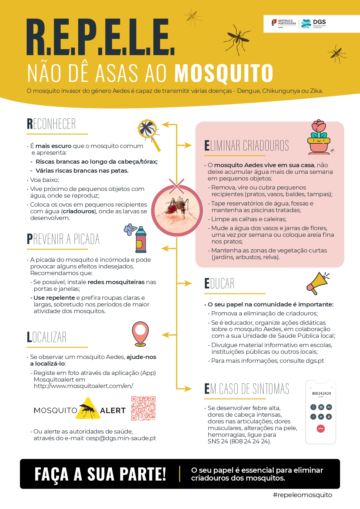 Leia mais sobre Aviso | Mosquito-tigre-asiático