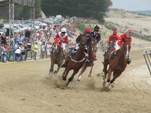 Grande Prémio de Portugal de Corrida de Cavalos