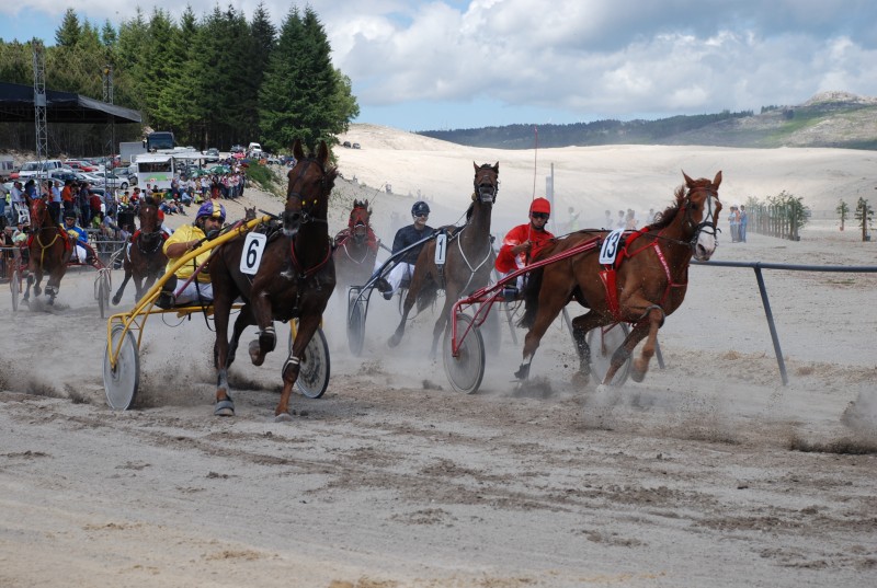 Leia mais sobre Corridas de Cavalos no Hipódromo de Cabeceiras de Basto