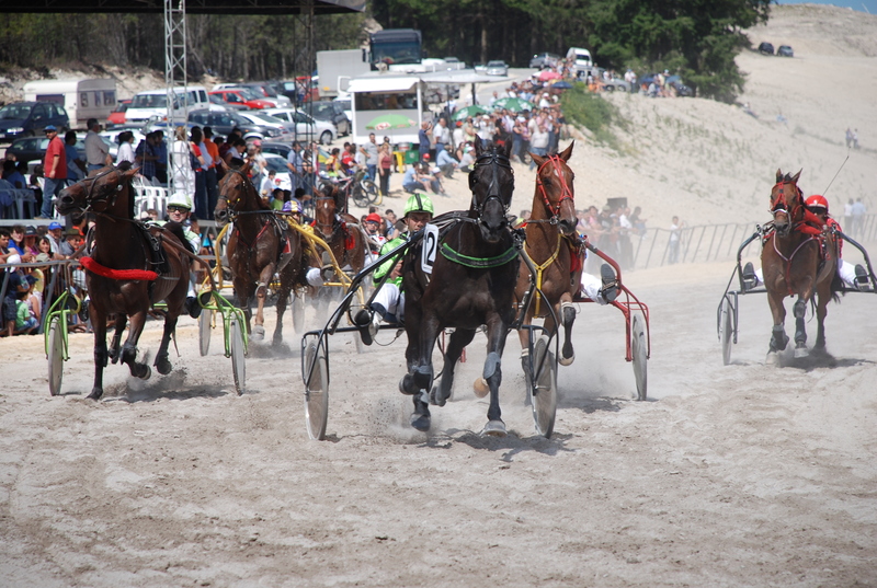 Leia mais sobre Parceria com Liga Portuguesa de Cavalos de Corrida e Aeroclube do Norte