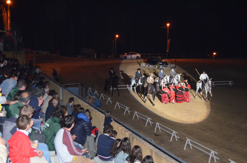 Leia mais sobre Feira do Cavalo abre ao público e atrai aficionados ao Centro Hípico