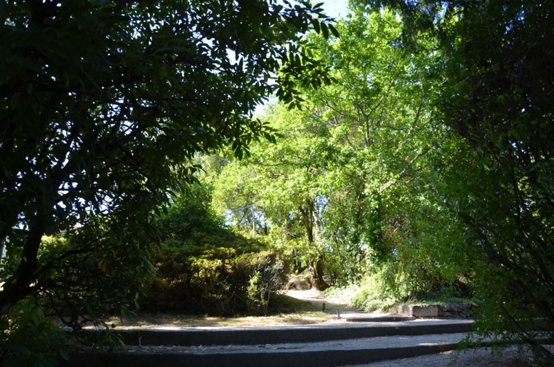 Parque Florestal de Cabeceiras de Basto